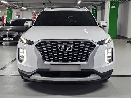 Hyundai Palisade, 2020 — фото 1