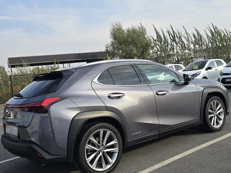 Lexus UX, 2021 — сүрөт 4
