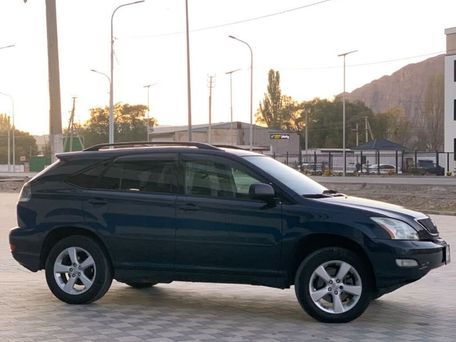 Lexus RX, 2003 — 照片 6