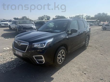 Subaru Forester, 2020 — фото 2