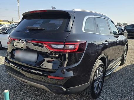 Renault Samsung QM6, 2019 — фото 3