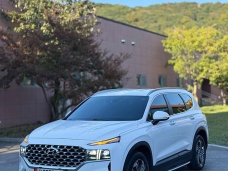 Hyundai Santa Fe, 2020 — photo 5