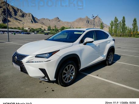 Lexus NX, 2019
