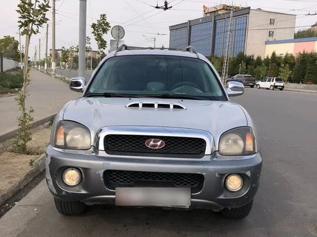 Hyundai Santa Fe, 2002 — 照片 1
