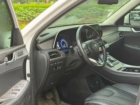 Hyundai Palisade, 2021 — photo 7