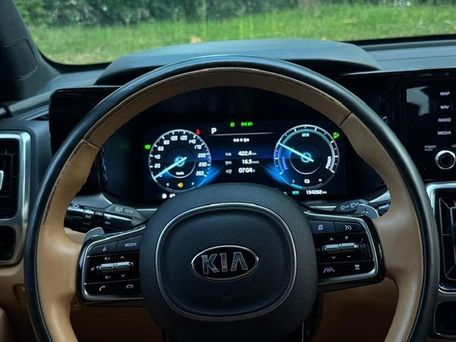 Kia Sorento, 2020 — фото 13