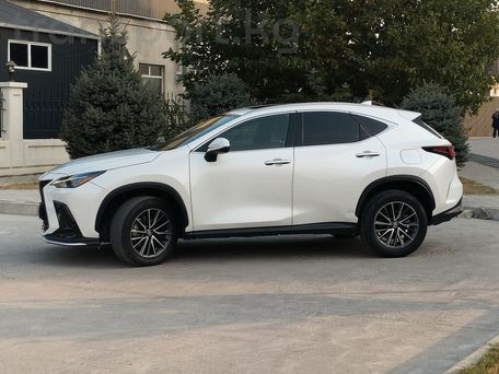 Lexus NX, 2022 — photo 7