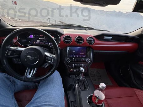 Ford Mustang, 2023 — photo 8