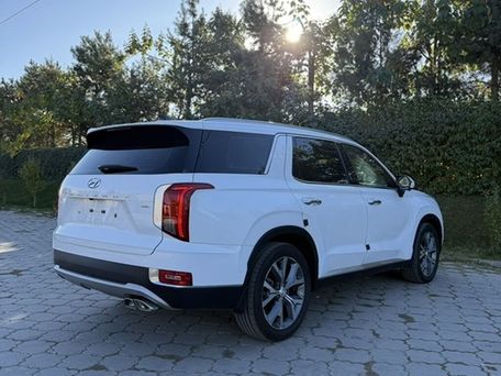 Hyundai Palisade, 2020 — photo 5