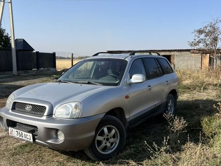 Hyundai Santa Fe, 2001 — сүрөт 1