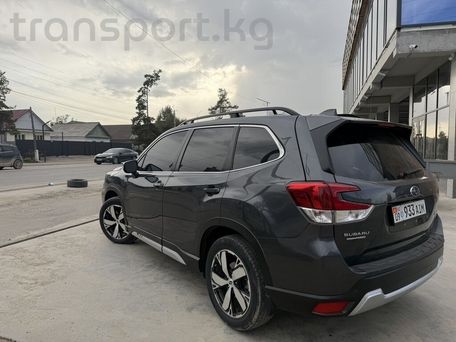 Subaru Forester, 2020 — 照片 6