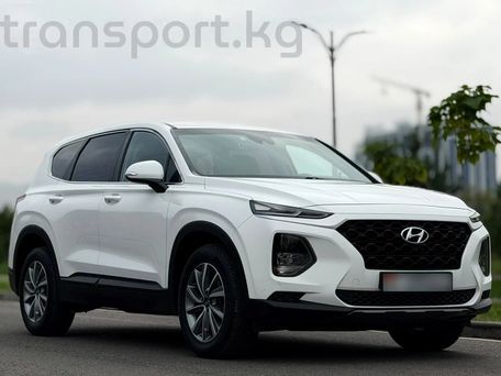 Hyundai Santa Fe, 2019 — фото 4