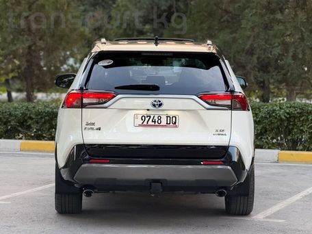 Toyota RAV4, 2020 — фото 13