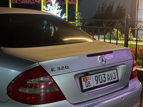 Mercedes-Benz E-Класс, 2002 — 照片 4