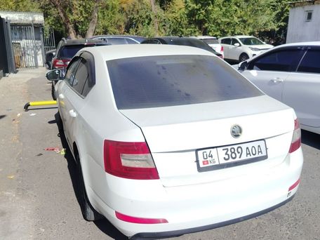 Skoda Octavia, 2016 — 照片 2