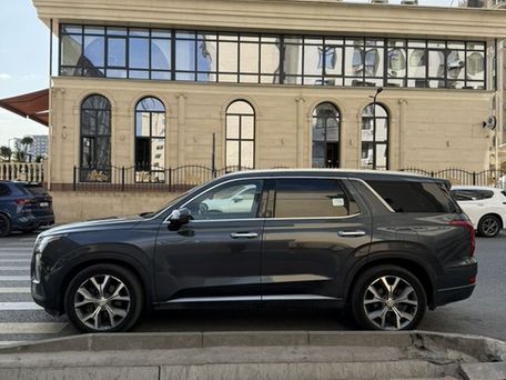 Hyundai Palisade, 2020 — фото 3