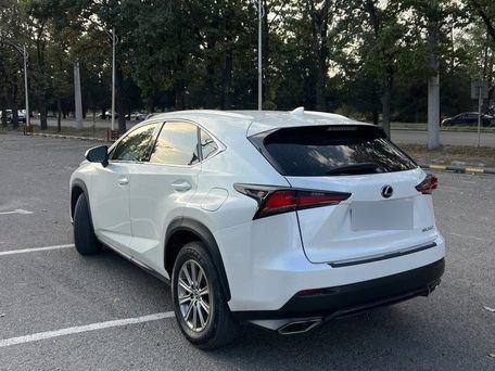 Lexus NX, 2021 — фото 4
