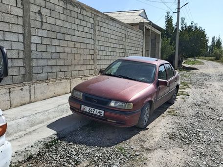 Opel Vectra, 1995 — photo 1