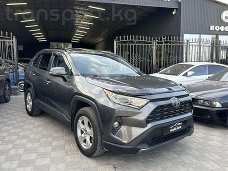 Toyota RAV4, 2019