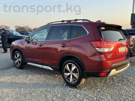 Subaru Forester, 2019 — photo 3