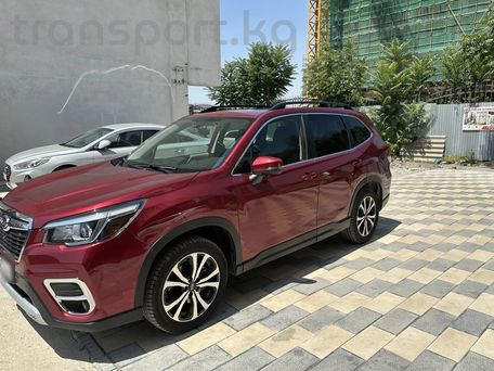 Subaru Forester, 2019 — фото 2