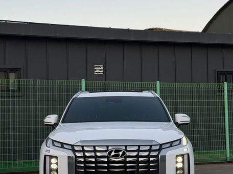Hyundai Palisade, 2023 — сүрөт 2