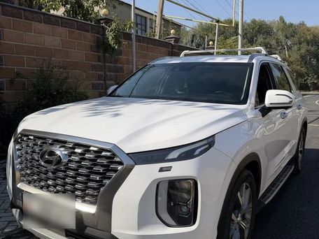 Hyundai Palisade, 2019 — фото 3