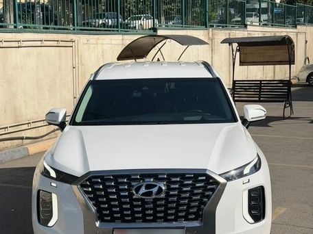 Hyundai Palisade, 2019 — сүрөт 1
