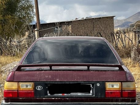 Audi 100, 1989 — 照片 1