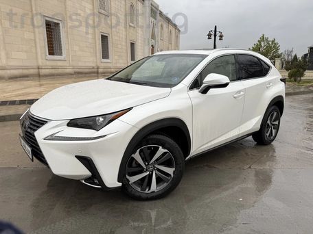 Lexus NX, 2019 — photo 5