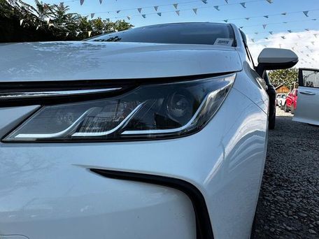 Toyota Corolla, 2019 — фото 1