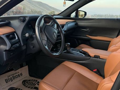 Lexus UX, 2019 — photo 11