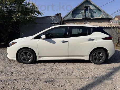 Nissan Leaf, 2020 — 照片 3