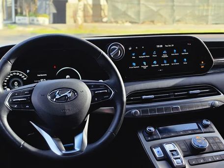 Hyundai Palisade, 2020 — сүрөт 12