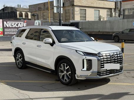 Hyundai Palisade, 2020 — фото 3
