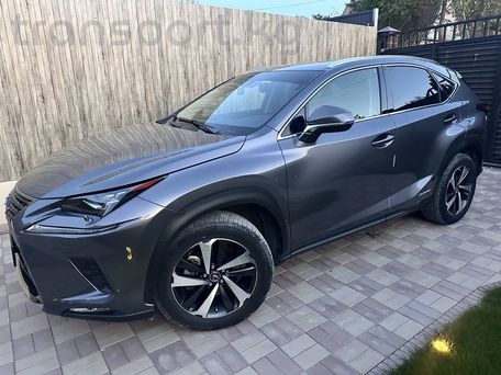 Lexus NX, 2021 — фото 5