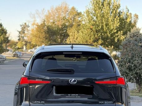 Lexus NX, 2019 — photo 7