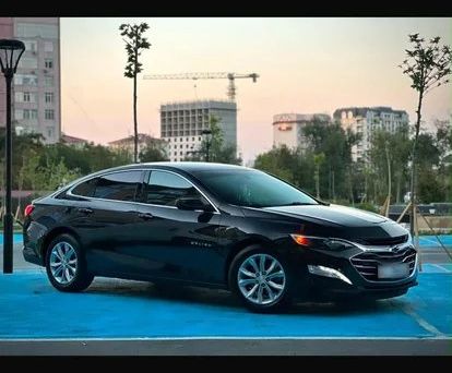Chevrolet Malibu, 2019 — сүрөт 1
