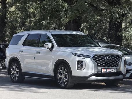 Hyundai Palisade, 2020 — фото 2
