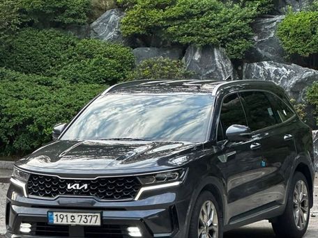 Kia Sorento, 2023 — фото 4