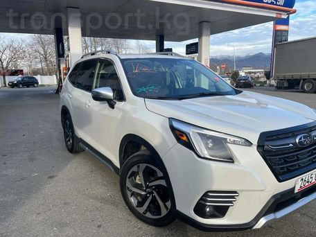 Subaru Forester, 2022 — сүрөт 1