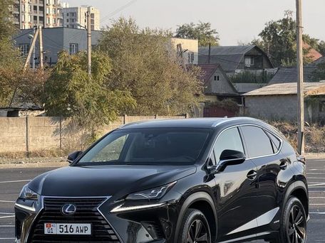 Lexus NX, 2019 — сүрөт 1