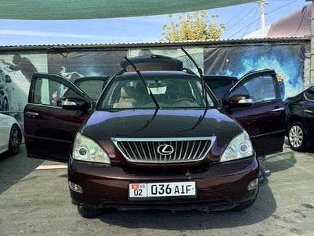 Lexus RX, 2008 — фото 2