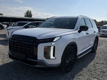 Hyundai Palisade, 2023 — photo 2