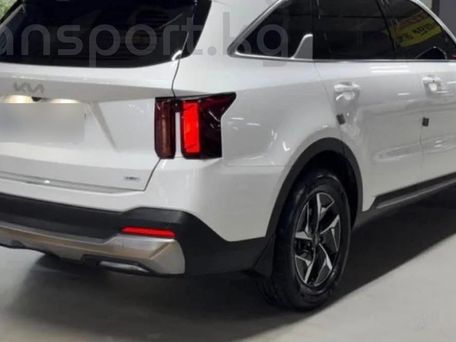 Kia Sorento, 2020 — фото 10