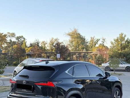 Lexus NX, 2019 — photo 6