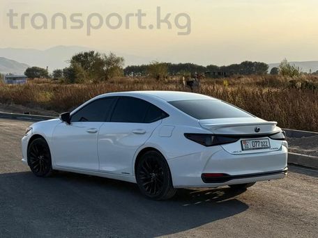 Lexus ES, 2019 — photo 5