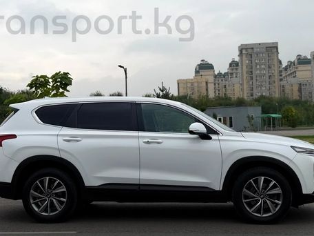Hyundai Santa Fe, 2019 — фото 7