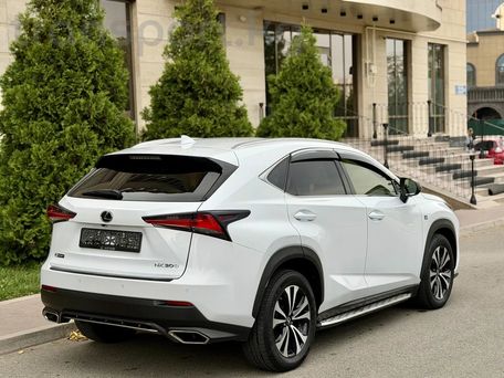 Lexus NX, 2018 — фото 4