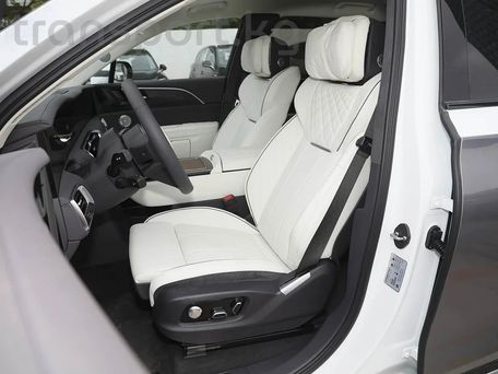 Hongqi E-HS9, 2025 — photo 8